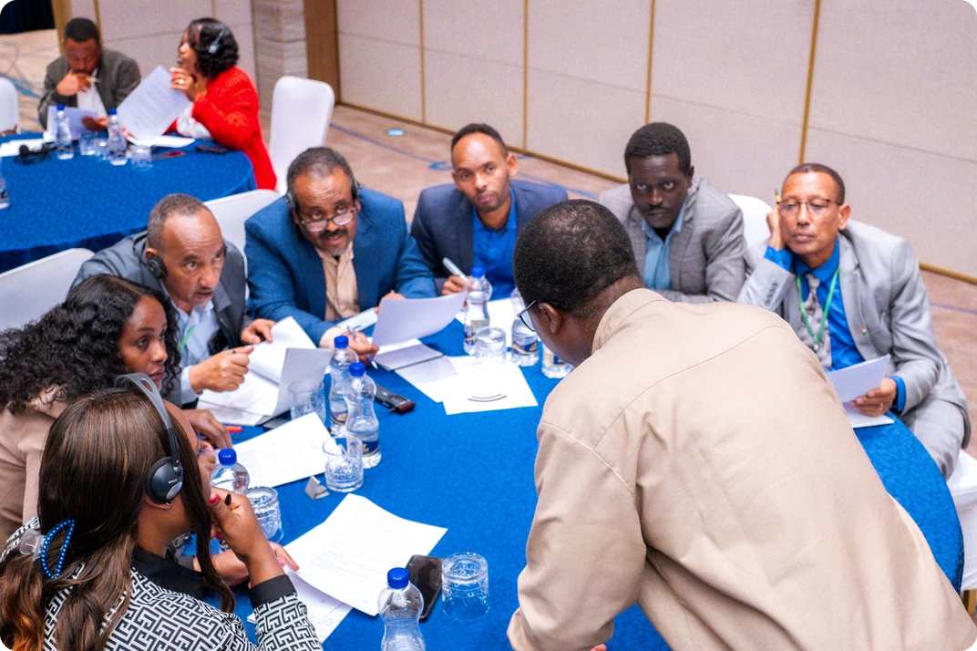 ILF programme participants